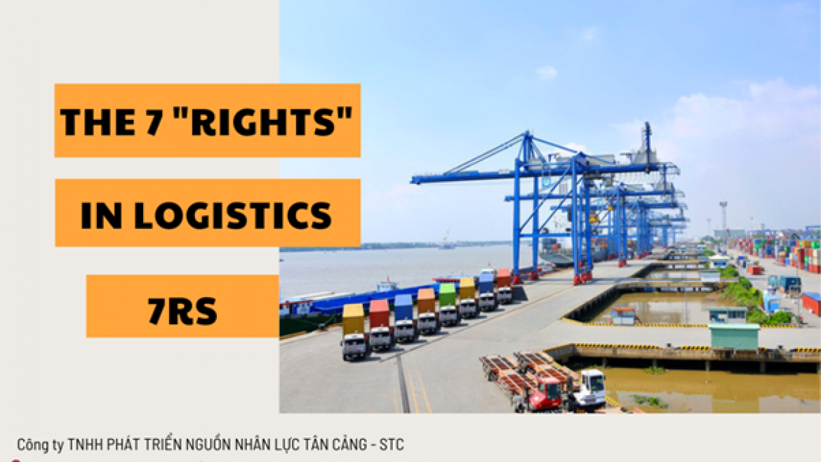 [NGHIỆP VỤ] – The 7 “ Rights” in Logistics