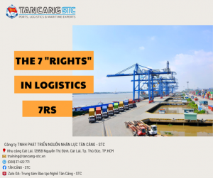 Làm thế nào để áp dụng 7 rights trong quản lý logistics? 
