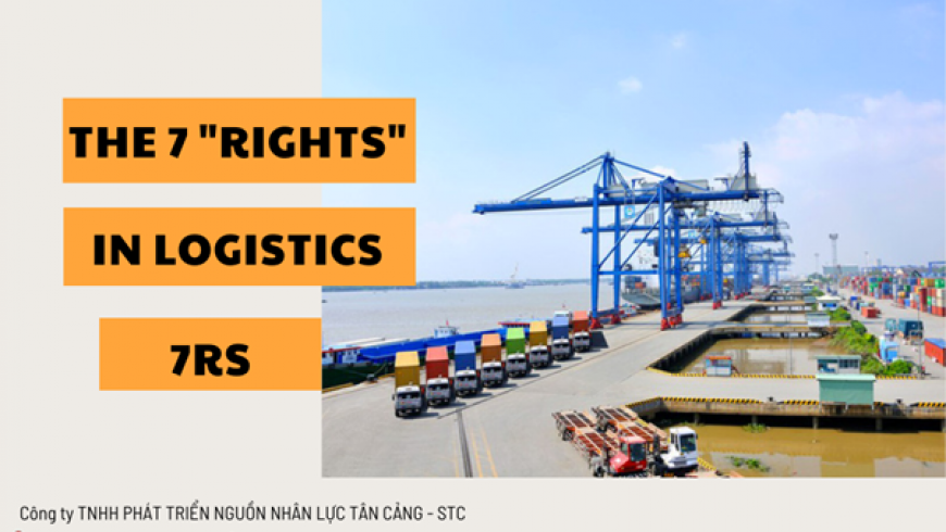 [NGHIỆP VỤ] – The 7 “ Rights” in Logistics
