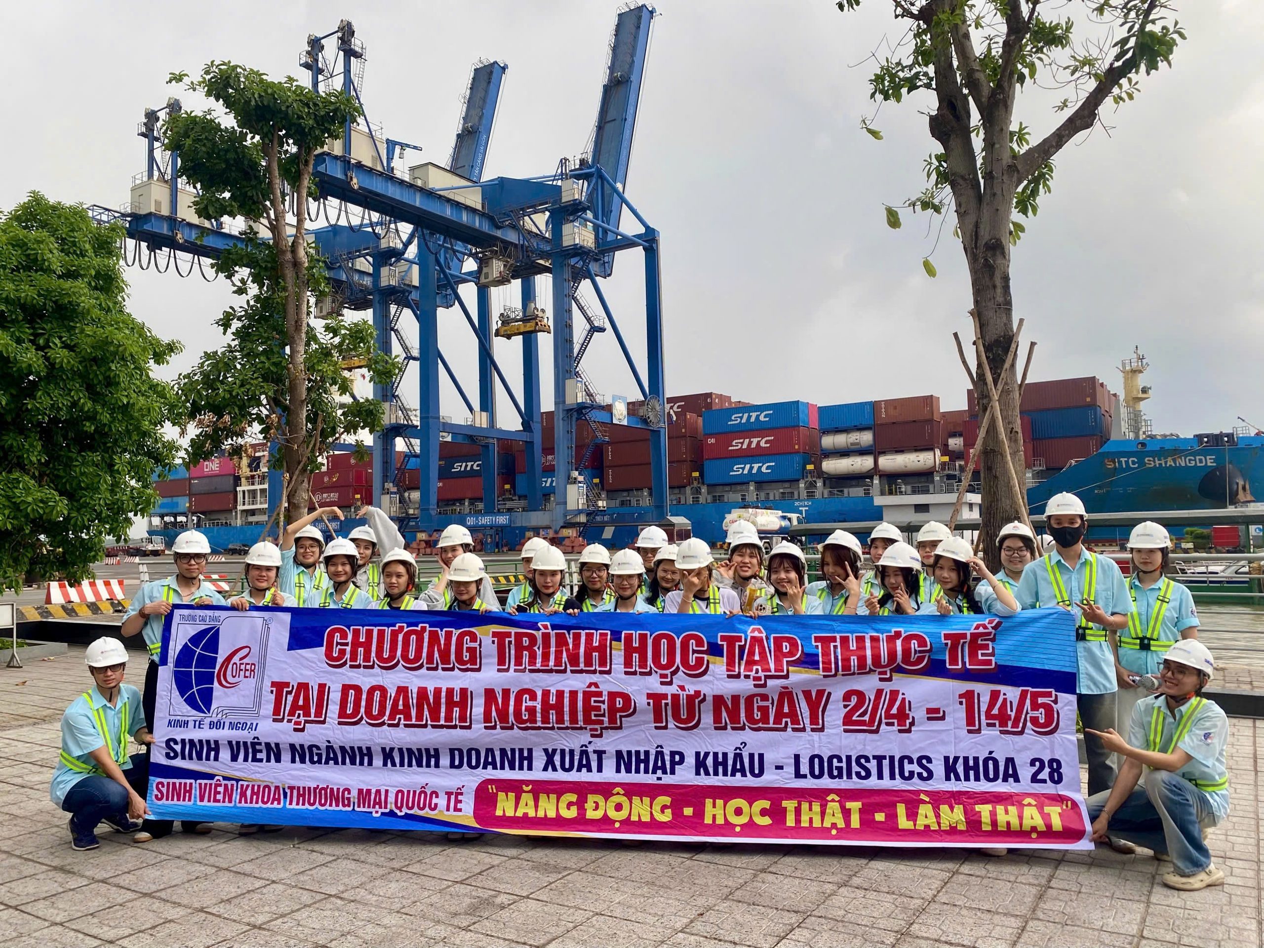 Sinh viên năm 1, 2, 3, 4 có nên học tiếng Anh giao tiếp ngay từ bây giờ?