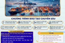 HỌC LOGISTICS RỒI, NHƯNG BẠN CÓ THỰC SỰ HIỂU MỘT CẢNG VẬN HÀNH NHƯ THẾ NÀO?